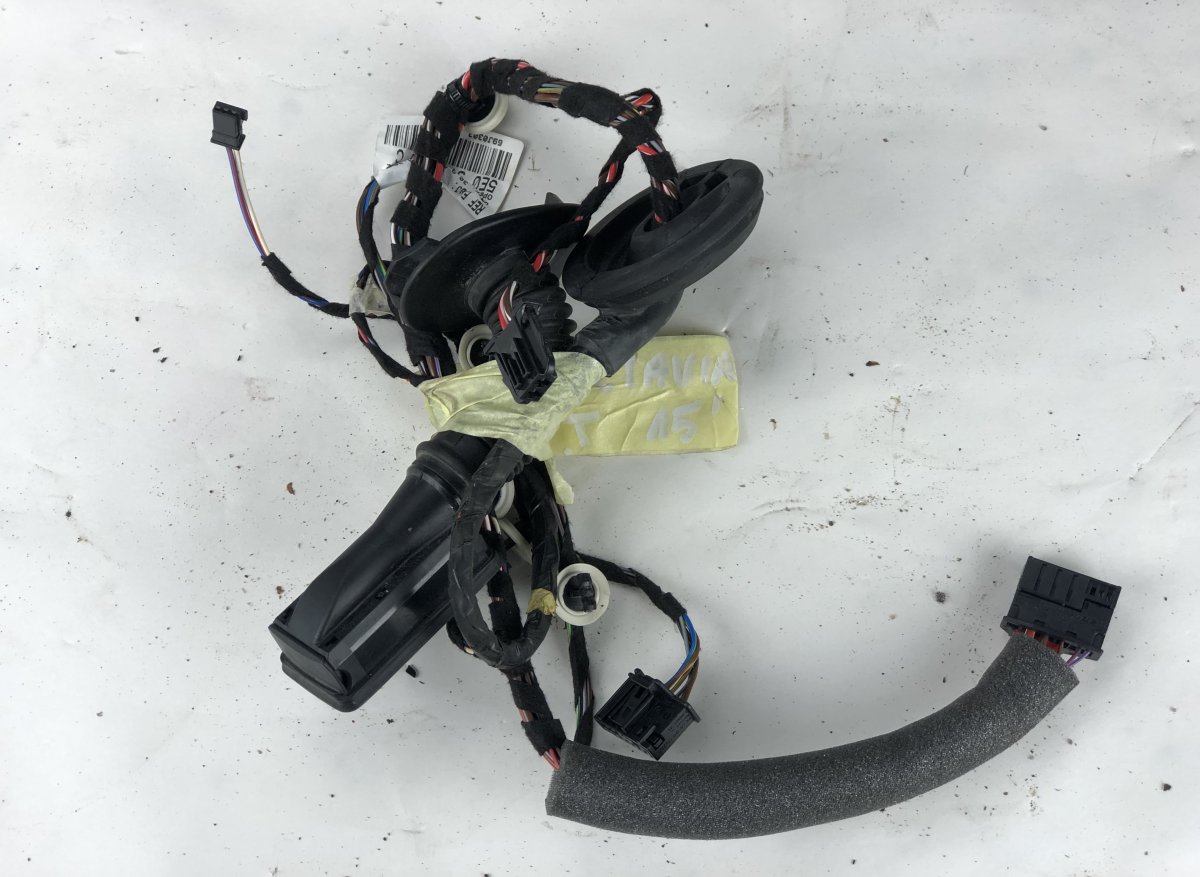 Skoda Octavia Door wiring harness Door wiring harness — SKODA OCTAVIA III (5E) (2...