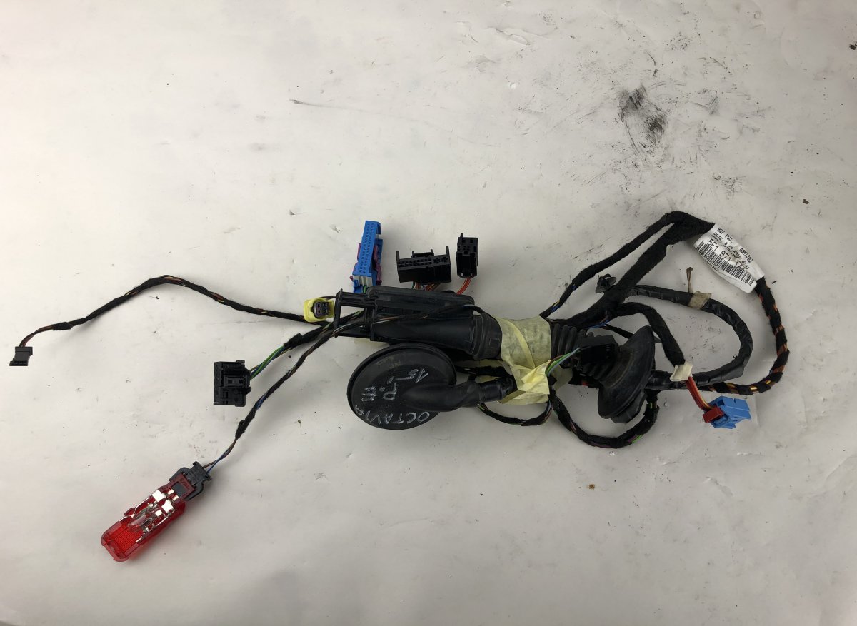 Skoda Octavia Door wiring harness Door wiring harness — SKODA OCTAVIA III (5E) (2...