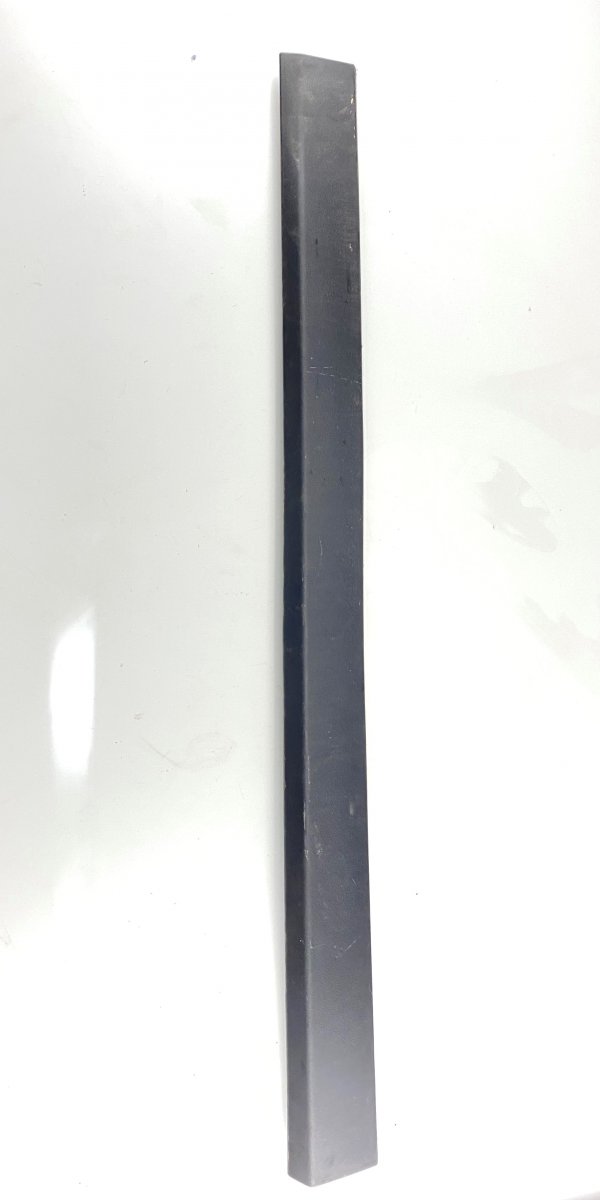 BMW X1 (E84) Door Moulding Front Right