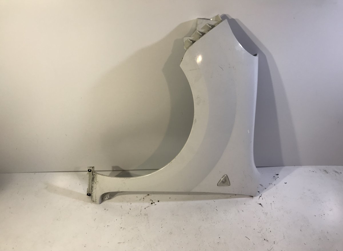 Renault Kangoo Fender Front Left RENAULT KANGOO II (FW, KW) (2008-2021) Fender F...
