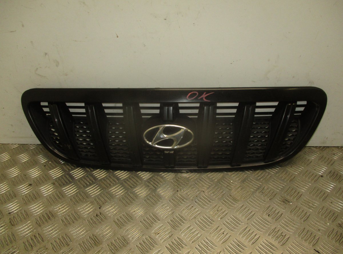 Hyundai Terracan Radiator Grille HYUNDAI TERRACAN (HP) (2001-2006) Radiator Gril...