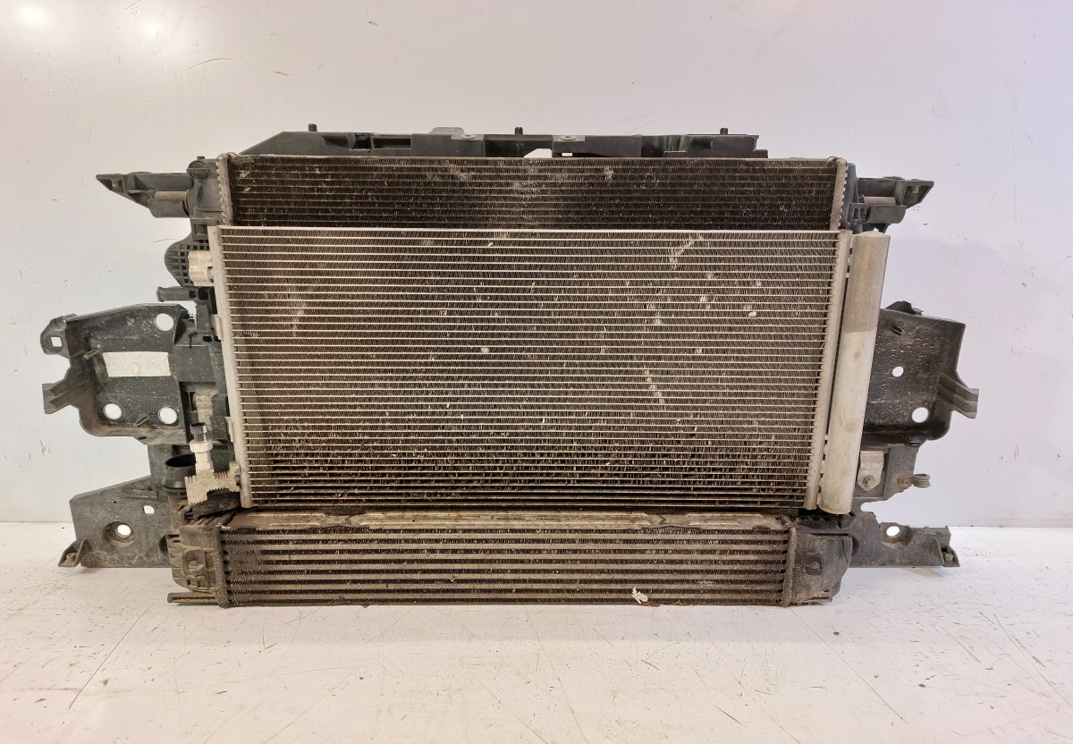 Renault Scenic radiator RENAULT SCENIC III (JZ0) (2009-2016) Radiator 9...