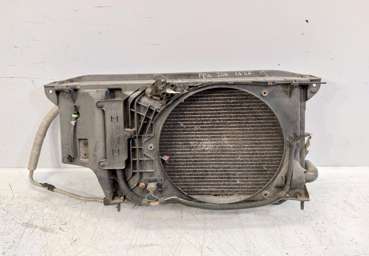 Peugeot 206 Front panel PEUGEOT 206 (2A) (1998-2012) Front panel 963571...