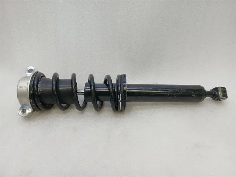 Front shock absorber/damper Brand/Model: FERRARI ROMA
Year: 2023
Engine: 38...