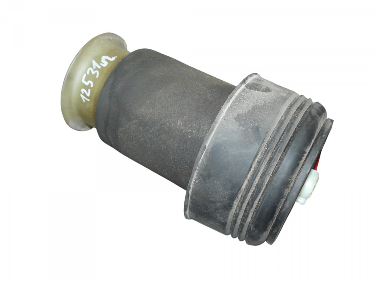 BMW X5 (E70) Rear Left Air Shock Absorber Rear Left Air Shock Absorber — BMW X5 (E70) (20...