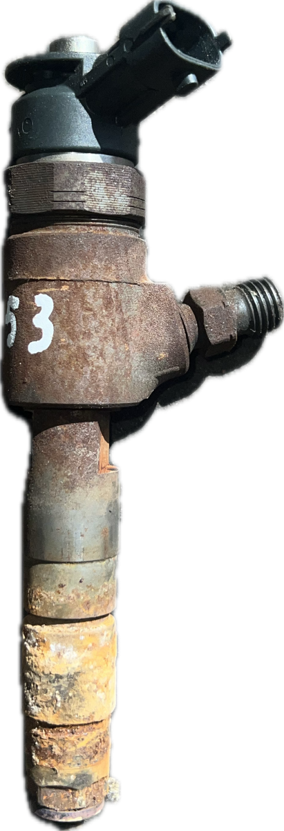 Citroen C4 Fuel Injector