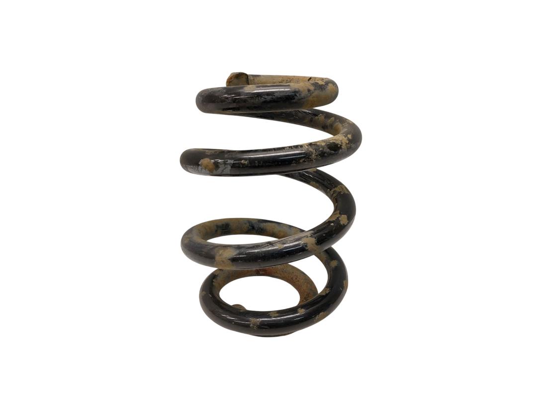 Volkswagen Transporter (T6, Caravelle, Multivan) Spring — rear right