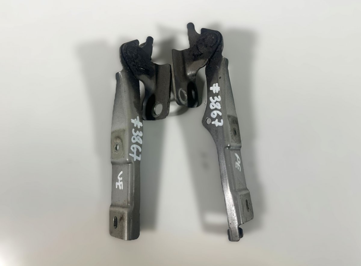 Citroen DS3 Bonnet hinge set