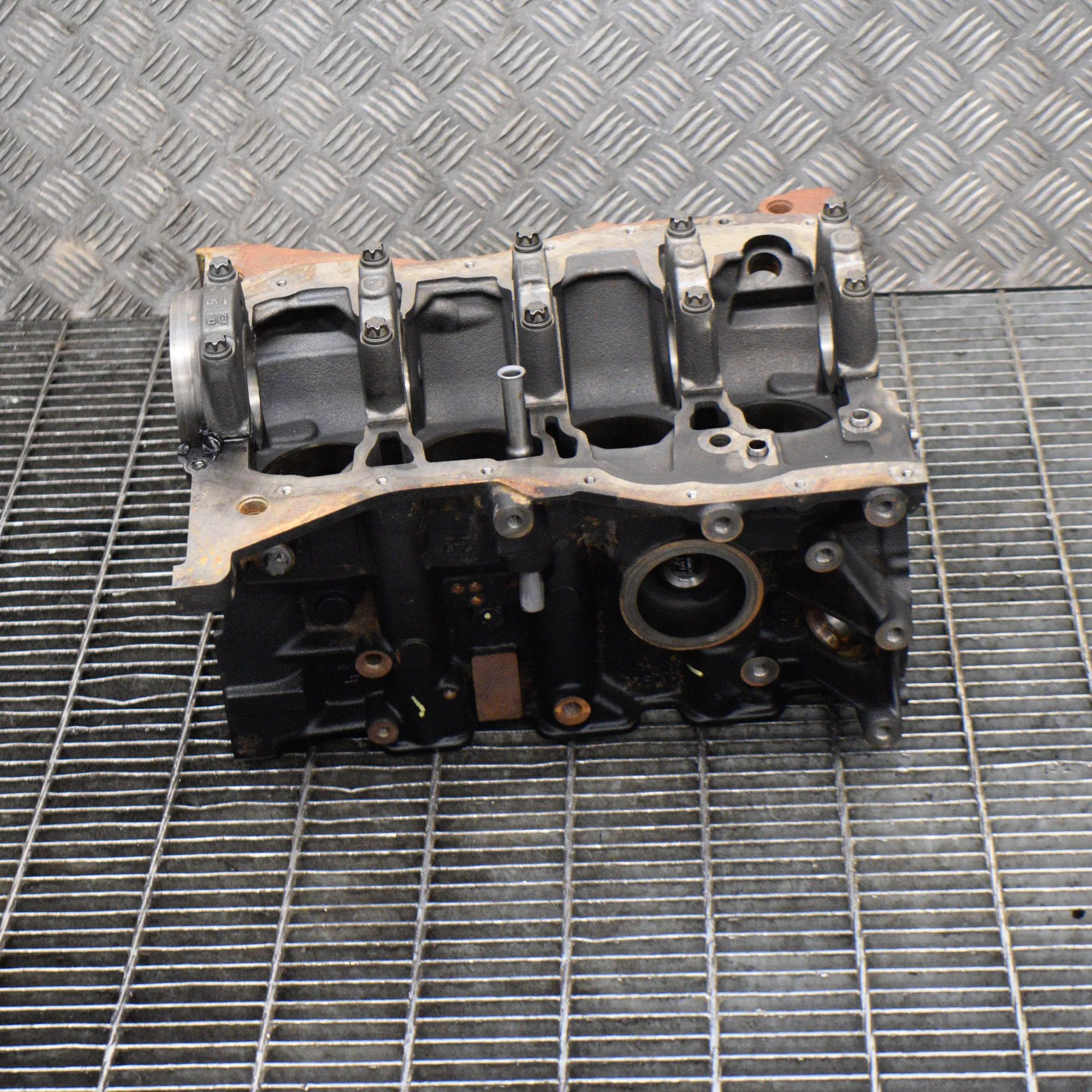 Nissan Qashqai (J11) variklio blokas