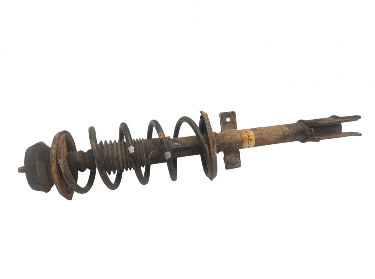 Dacia Duster Shock absorber — rear left Shock absorber — rear left — DACIA DUSTER I (20...