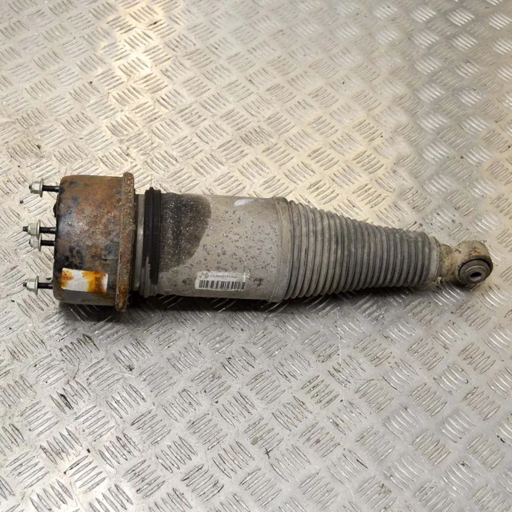 Jaguar XJ (X308) Shock absorber — rear left Shock absorber — rear left — JAGUAR XJ (X350) (...