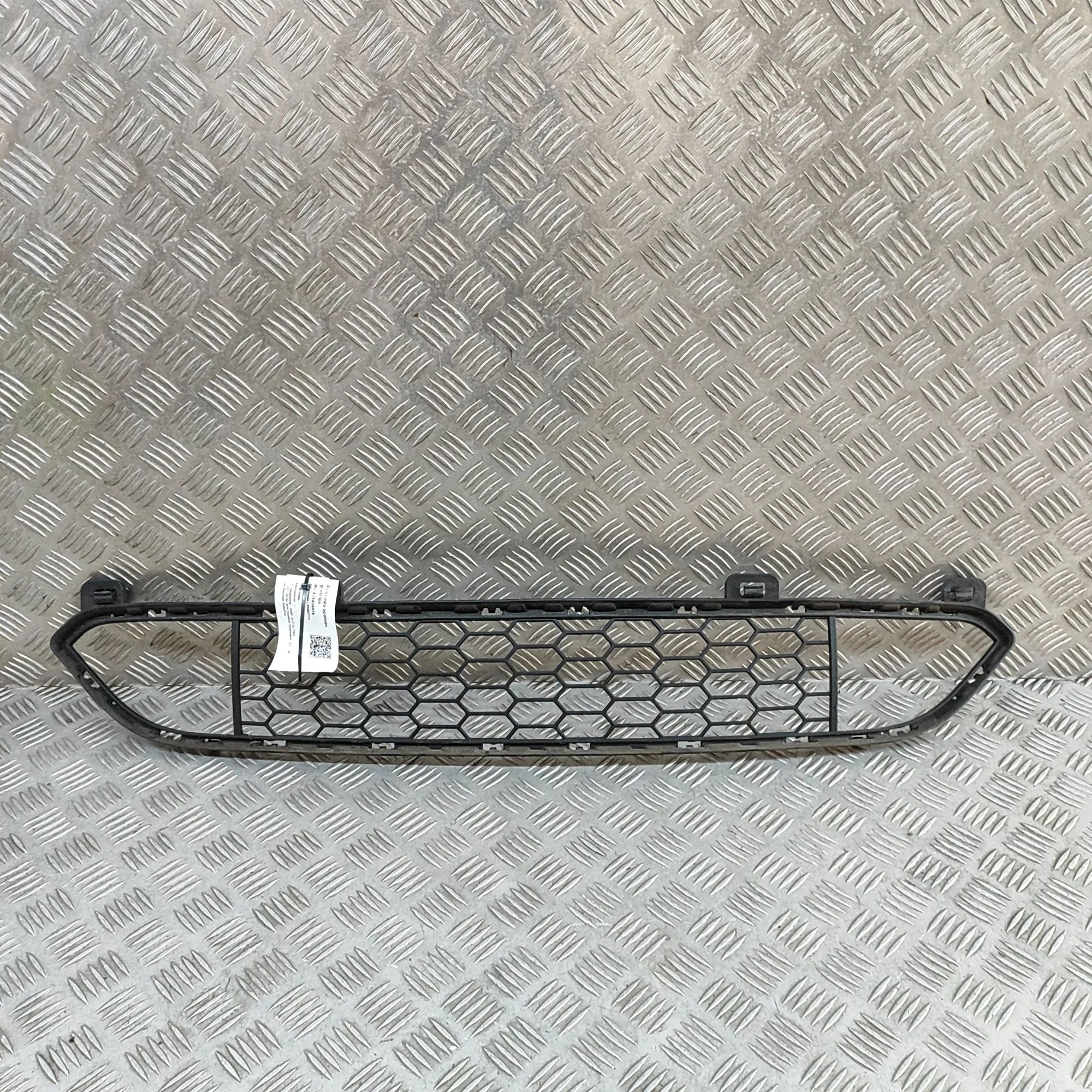 BMW X5 (F15) Front bumper lower grill