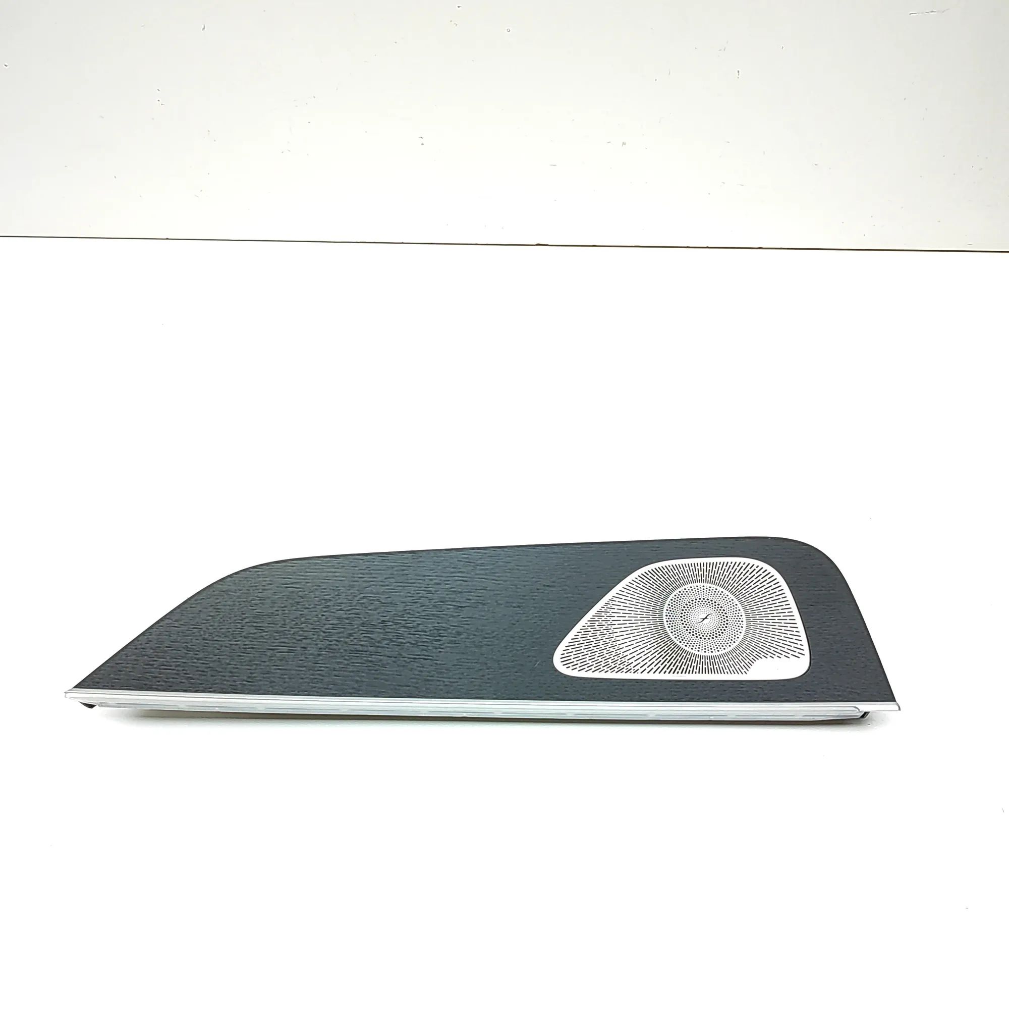 Mercedes-Benz GLE (W167) Rear Left Door Panel