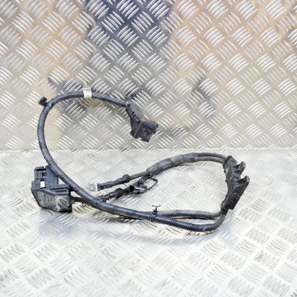 Hyundai Ioniq Wiring harness Wiring harness — HYUNDAI IONIQ (AE) (2016-...) ...