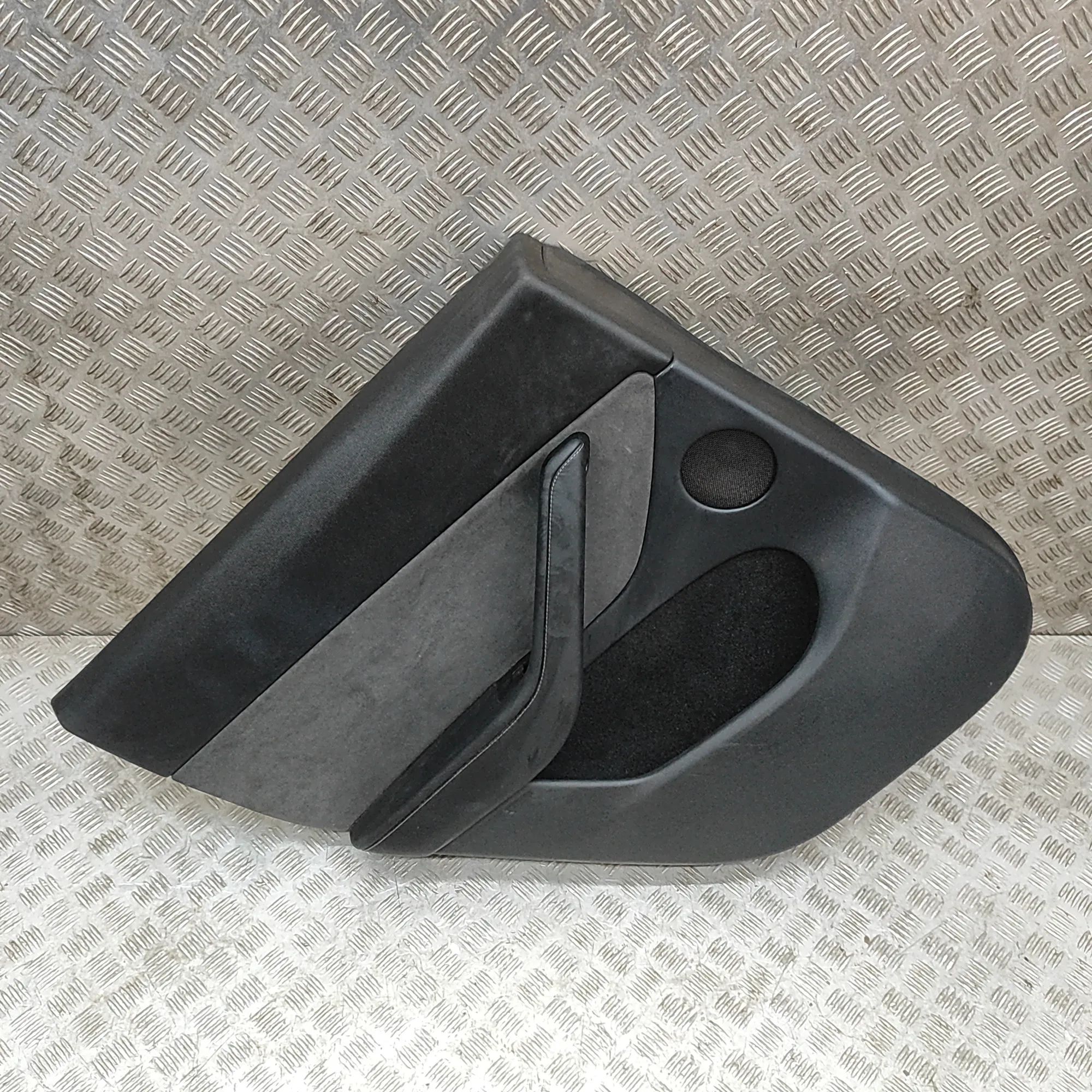 Tesla Model Y Rear Left Door Panel