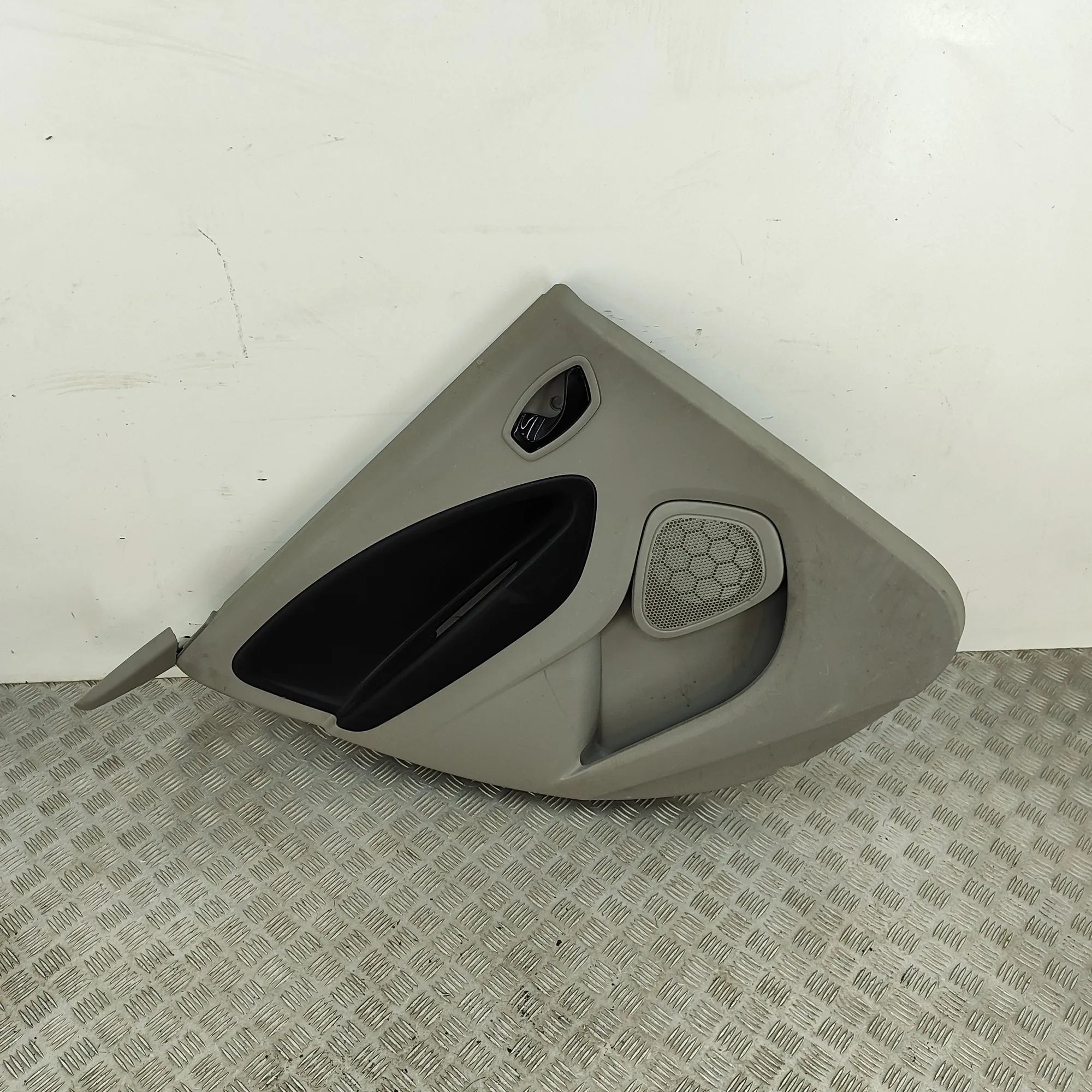 Renault Zoe Rear Left Door Panel