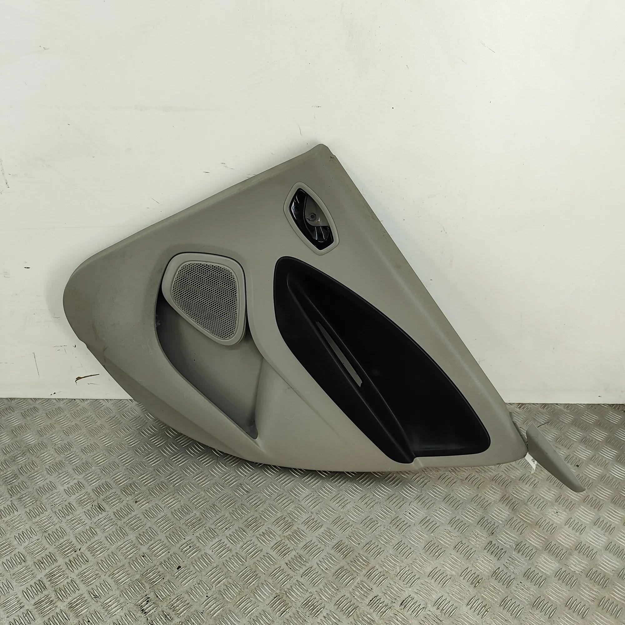Renault Zoe Rear Right Door Panel