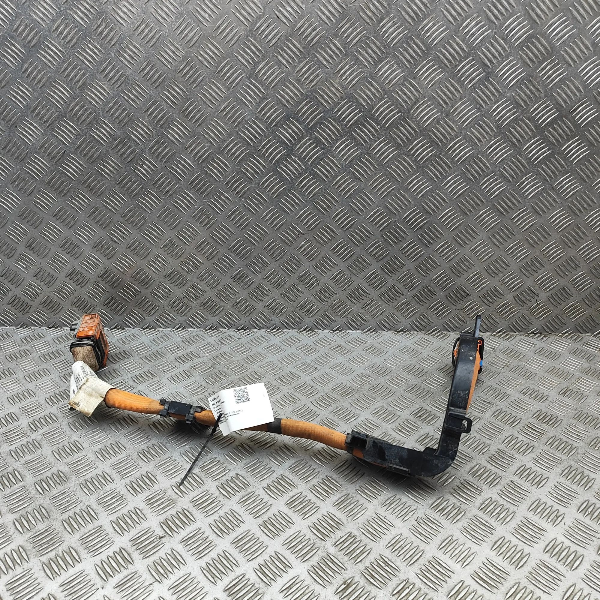Renault Zoe Wiring harness