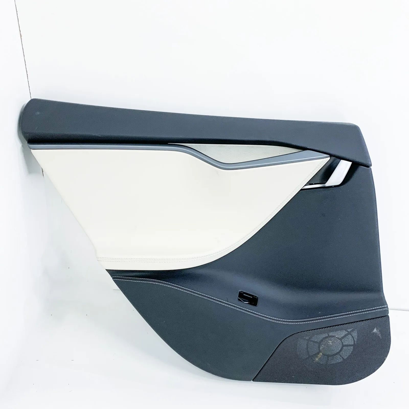 Tesla Model S Rear Left Door Panel