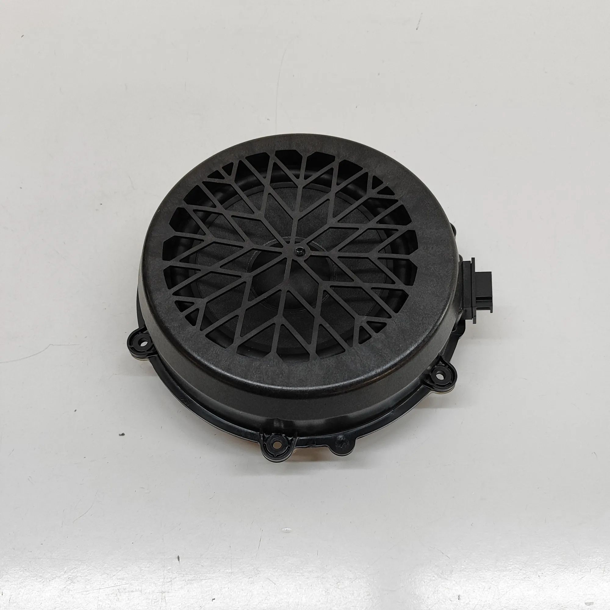 Porsche Taycan Rear Left Door Speaker