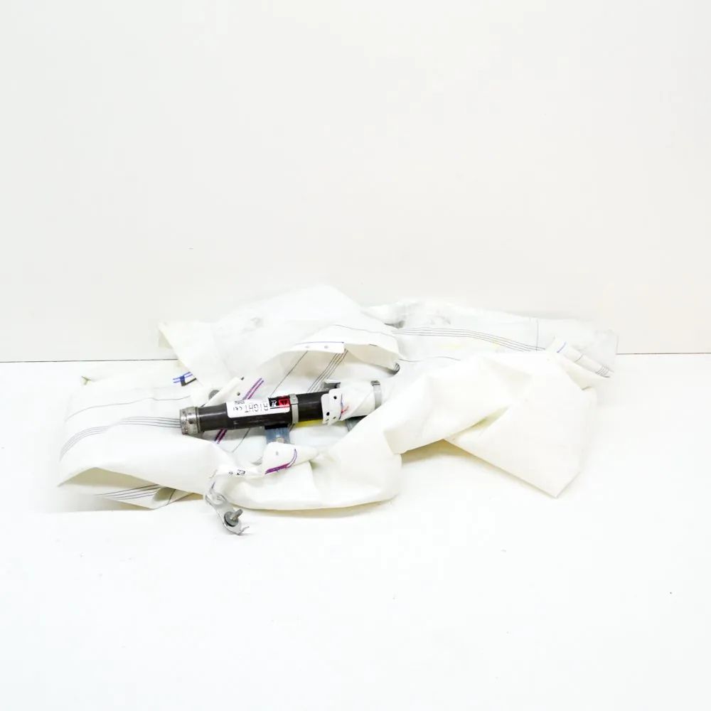Tesla Model 3 Right Side Roof Safety Curtain SRS Right Side Roof Safety Curtain SRS — TESLA MODE...