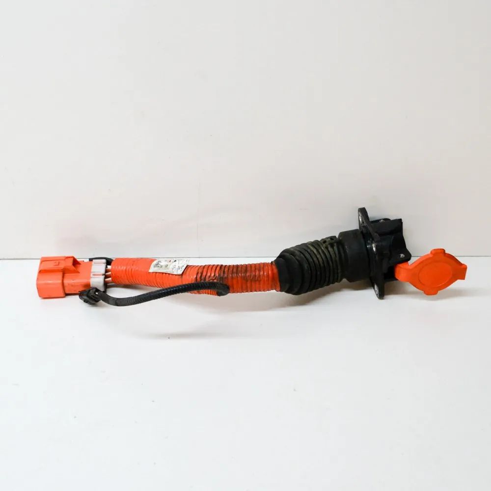 Nissan Leaf Wiring harness Wiring harness — NISSAN LEAF (ZE0) (2010-...) —...