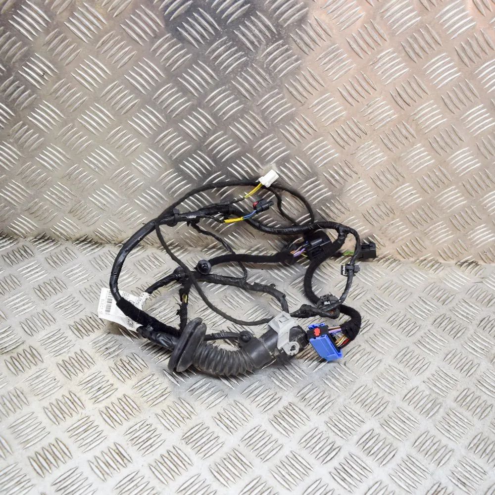 Maserati Ghibli Door wiring — front left Door wiring — front left — MASERATI GHIBLI (M15...