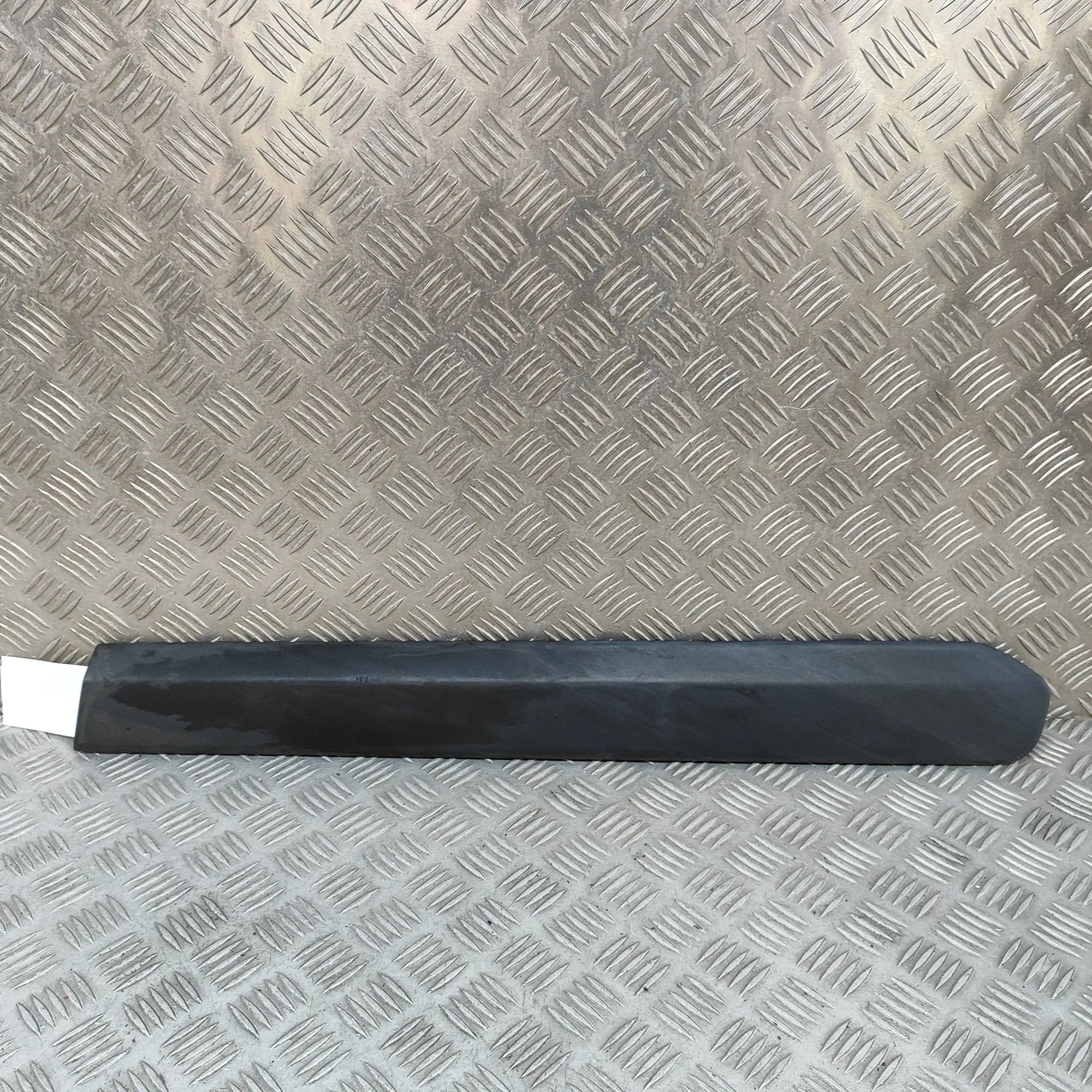 Fiat Doblo (263) Rear Left Door Molding Rear Left Door Molding — FIAT DOBLO (MPV 263_) ...