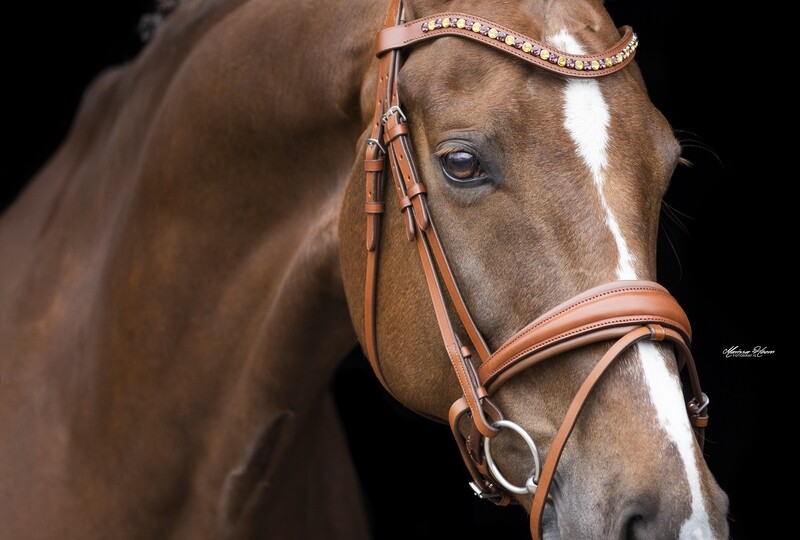MbF Breezer snaffle bridle lacquer