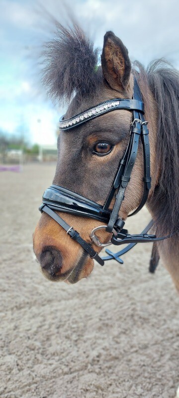 MbF snaffle bridle Heart
