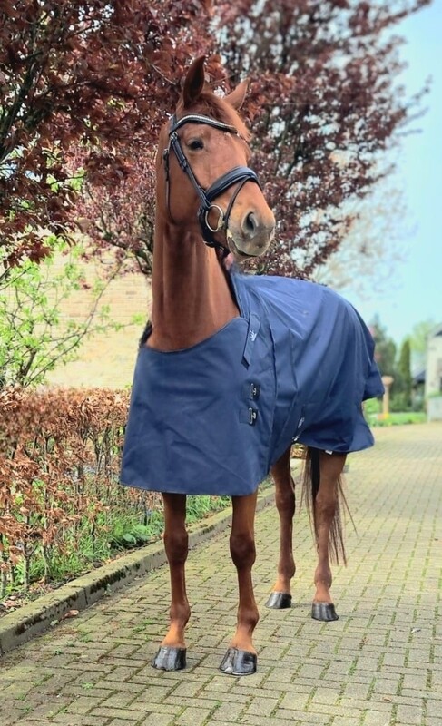 MbF Equestrian Extreme outdoor 150gr