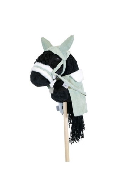 Set halter, blanket, fly net
