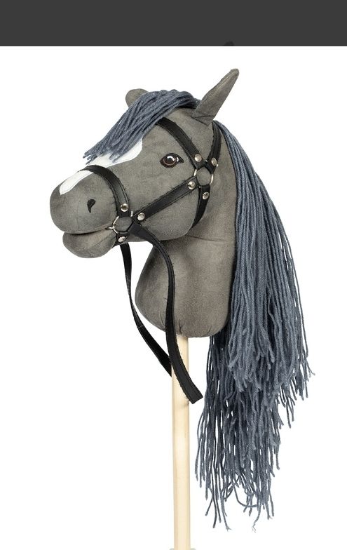 Hobbyhorses competition grey