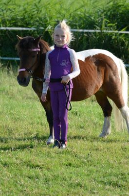 MbF rijlegging Fantasy Paars