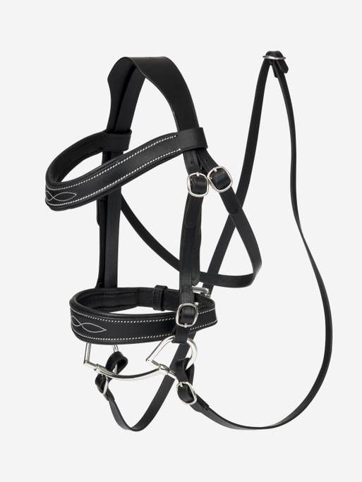 Competition bridle