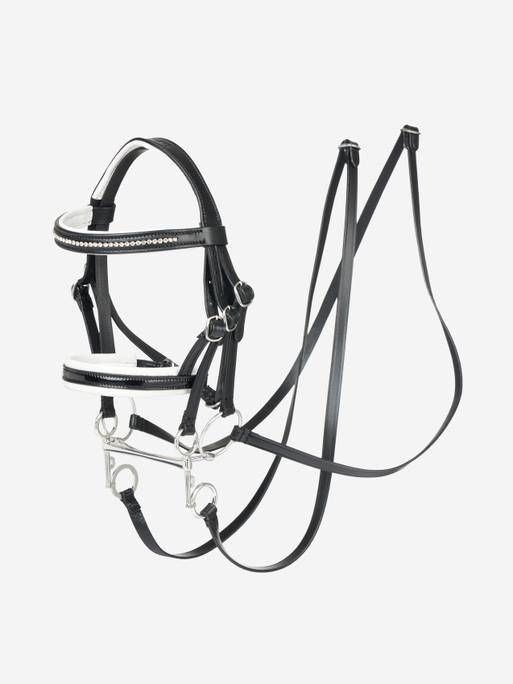Hobby horse double bridle