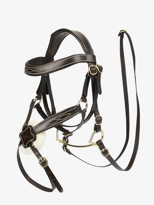 Hobby horse Mexicaans hoofdstel