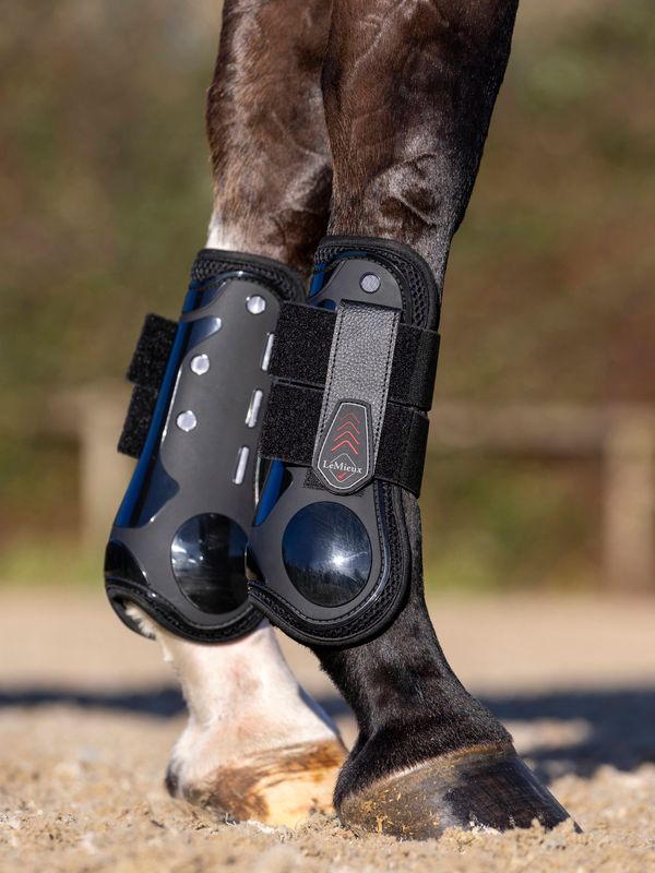 LeMieux Derby projump tendon boots