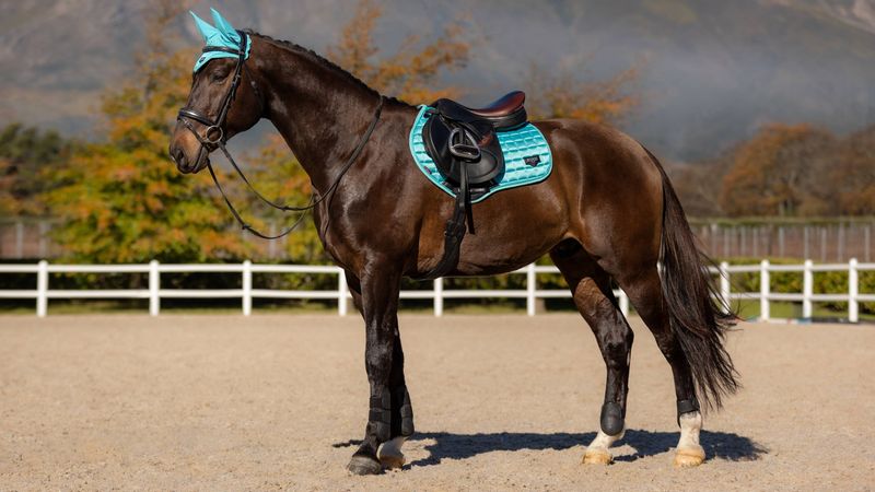 LeMieux Loire Classic Close contact