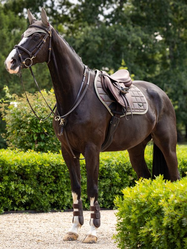 LeMieux Loire Classic