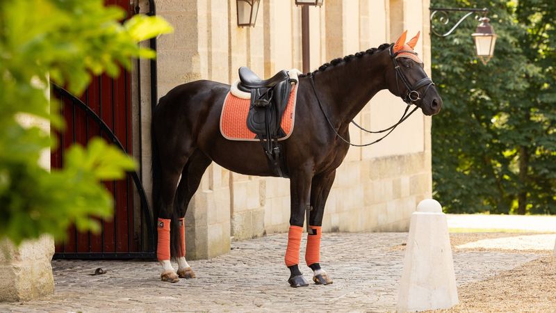 LeMieux Suede dressage