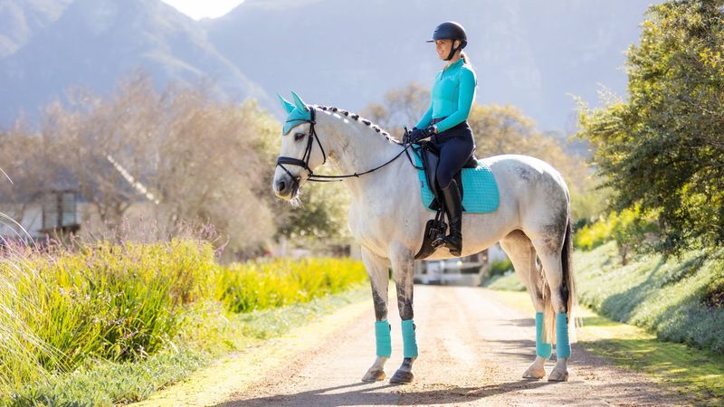 LeMieux Suede Dressage