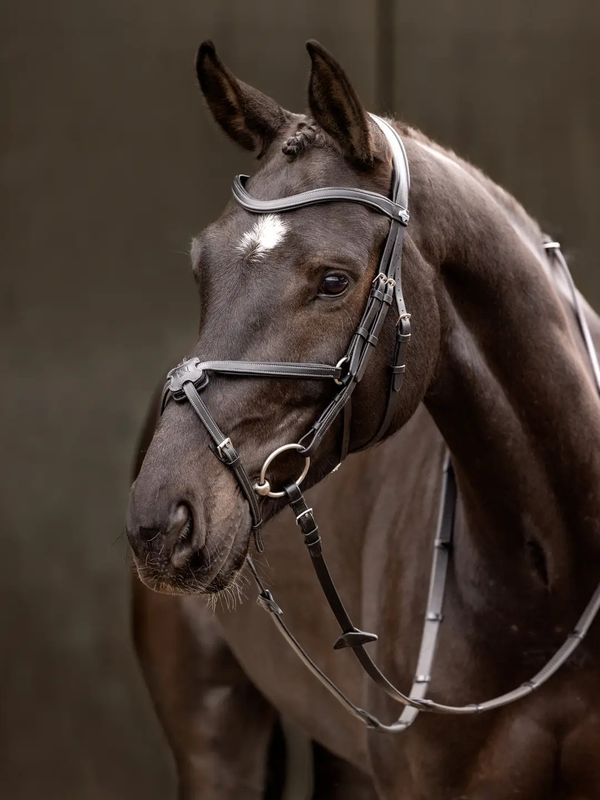 Arika Grackle bridle