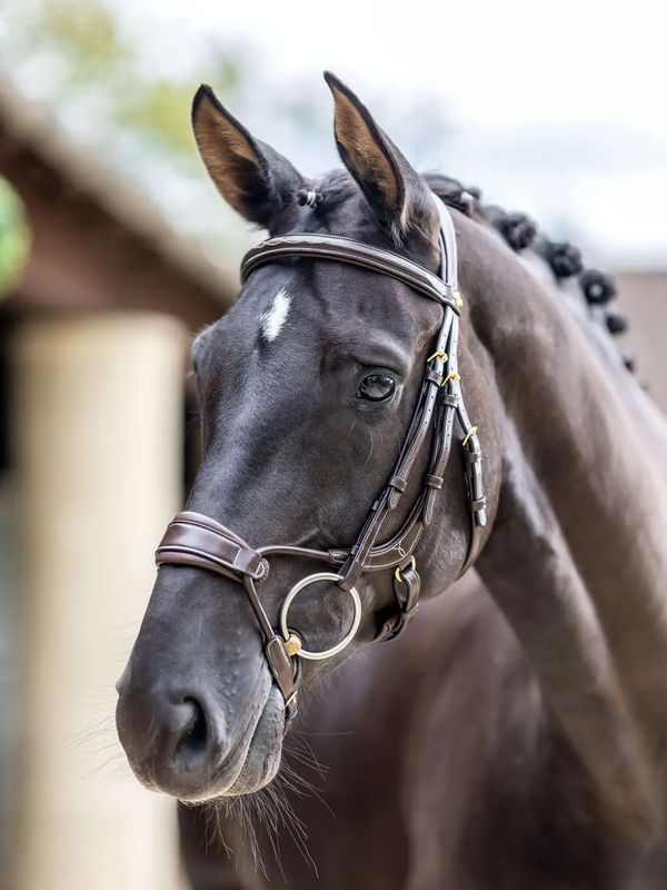 Lemieux clear arc bridle
