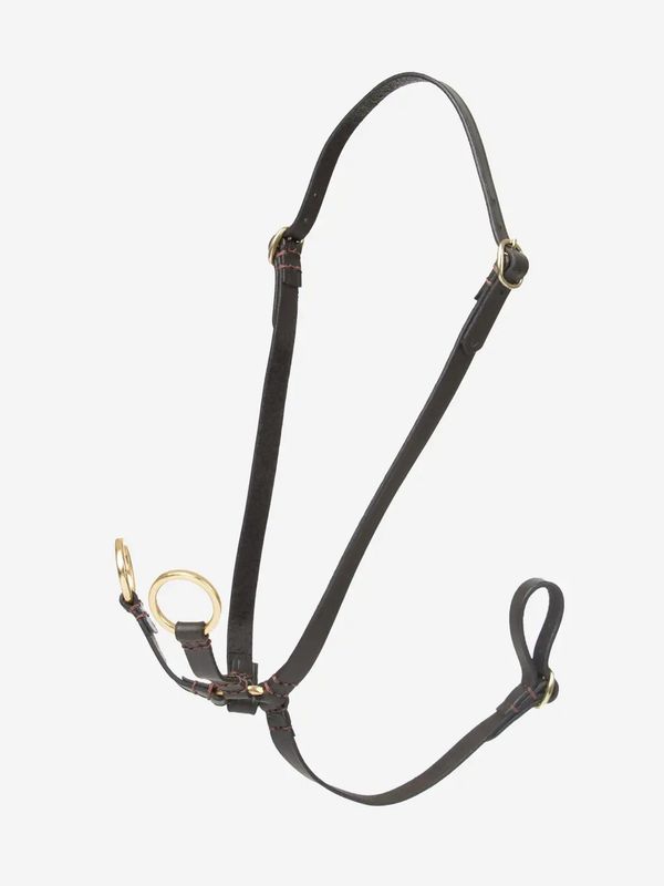 Lemieux Hobby Horse martingaal borsttuig