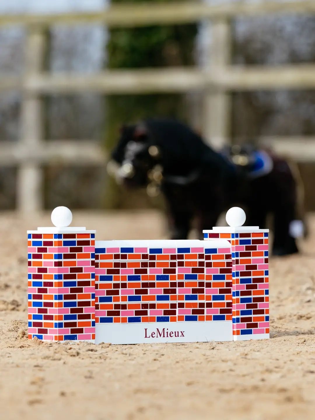 Lemieux Toy pony Springmuur