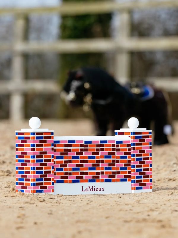 Lemieux Toy pony Springmuur