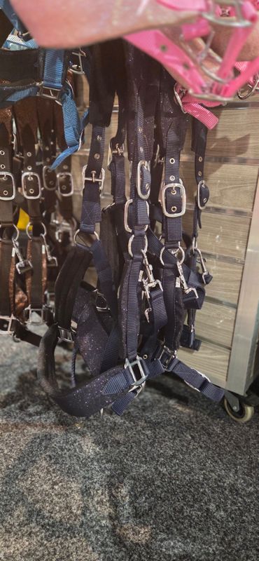 MbF halter leather strass