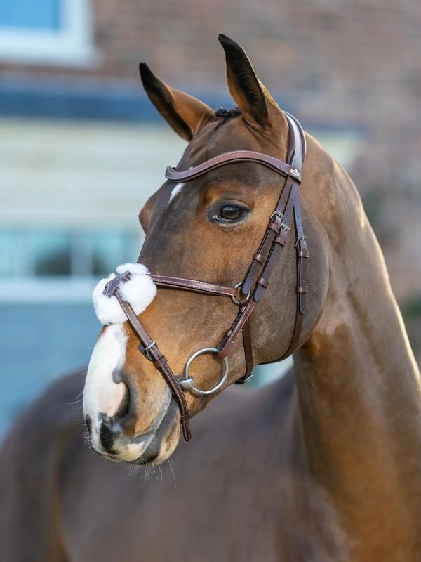 Arika Grackle bridle