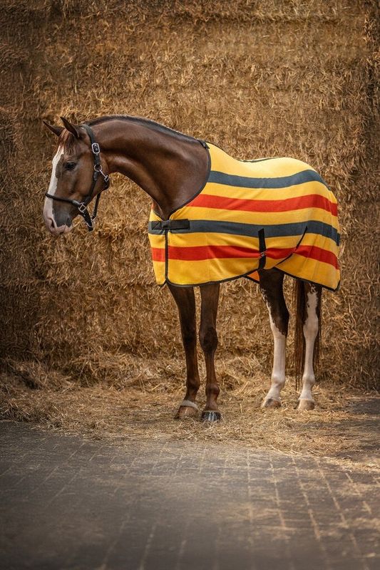 HKM Premium zweetdeken